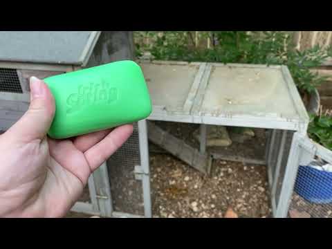 Видео: Средства, которые помогут отвадить мух от вашего курятника!