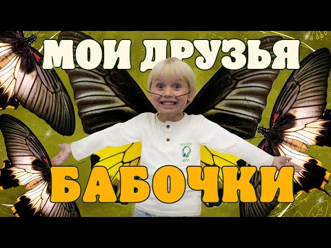 Видео: Мои друзья бабочки