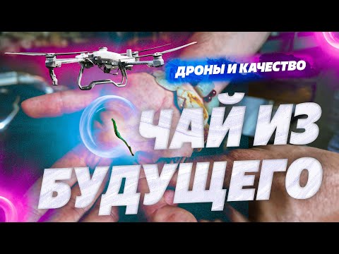 Видео: Будущее в Китае! Дроны - фермеры и чистый чай.