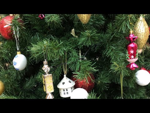 Видео: Беседы у органа. И.С. Бах. Рождественская оратория. Ведущая - Нина Кирпичникова