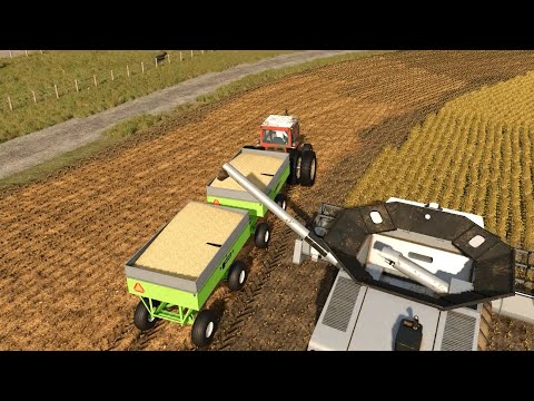 Видео: Новый рубеж #8 | FS 25 | Farming Simulator 25