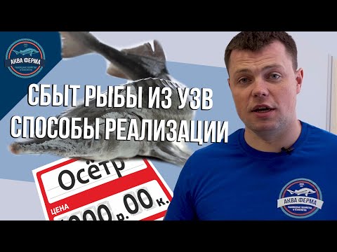 Видео: Сбыт рыбы из узв