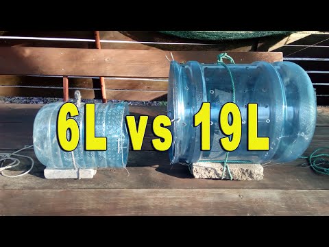 Видео: Как поймать живца малька Соревнование 6-ти литровой ловушки для живца против 19-ти литровой бутылки