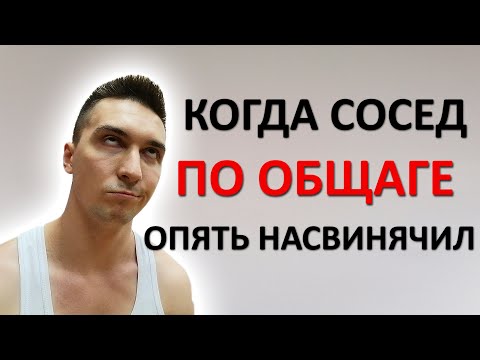 Видео: Жизнь в студенческом общежитии. Как бороться с грязными, шумными соседями