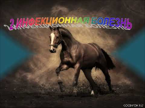 Видео: Видеолекция № 3 Инфекция и иммунитет