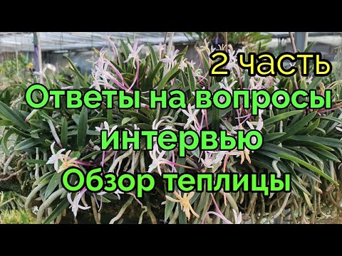 Видео: Ответы на вопросы интервью. Обзор теплицы.2 часть.드림난원.
