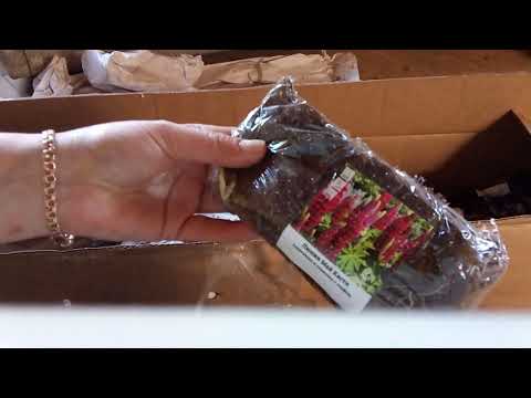 Видео: Посылка из интернет магазина "ГАРШИНКА" .Я В ШОКЕ!!!!!!!!!