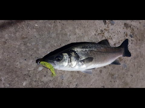 Видео: Много обиколки малко риба