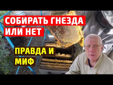 Видео: Как формировать гнездо пчел на зиму  Правда и мифы о сборке гнезд