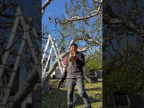 Видео: Акумуляторна пила