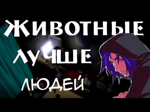 Видео: Хикикомори и животные |   | Подкаст  | Мнение Хикикомори