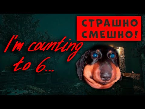 Видео: Давг считает до 6, страшно смешно (I'm counting to 6...)