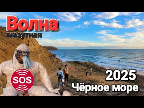 Видео: Мазутный Апокалипсис надвигается на Анапу. Поселок Волна Темрюкский район