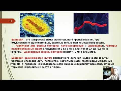 Видео: 7 лекция по ЧСГЗ