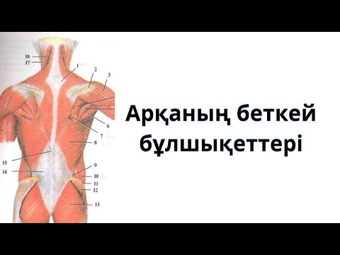Видео: АРҚА БҰЛШЫҚЕТТЕРІ. 1-БӨЛІМ.