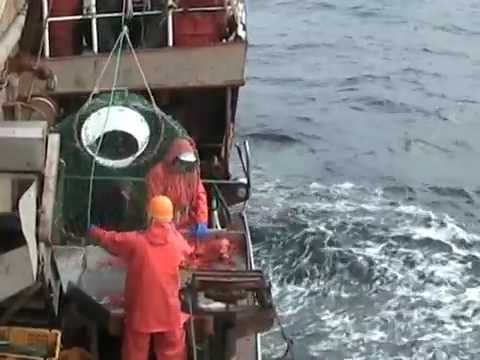 Видео: ЗАО "Рыболовецкий колхоз "Восток-1"