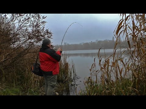 Видео: Streetfishing. Рыбалка в городе.