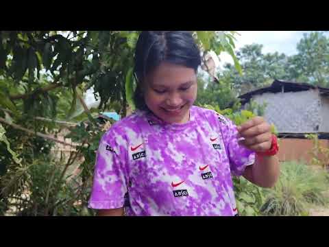 Видео: Кот лезет на верх#ivi&tiger #phuketales