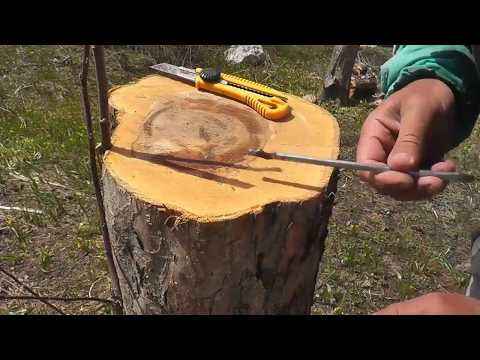 Видео: Пайвандкуни. Кундапайванд. 13 апреля 2019 г