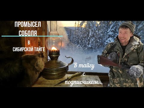 Видео: В тайгу с подписчиком! Проверка капканов на соболя в сибирской тайге.