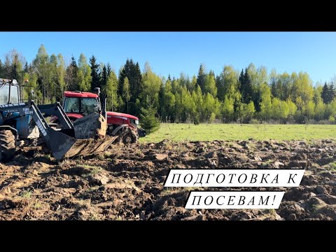 Видео: Трудовые будни! Убрали оставшихся бройлеров! Вес бройлера кобб 500 в 60 дней!