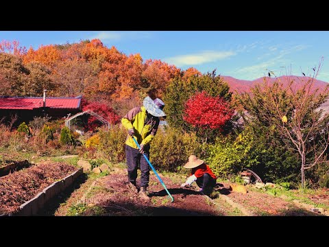 Видео: Простая жизнь в горах, наслаждение настоящим и подготовка к зиме~!!