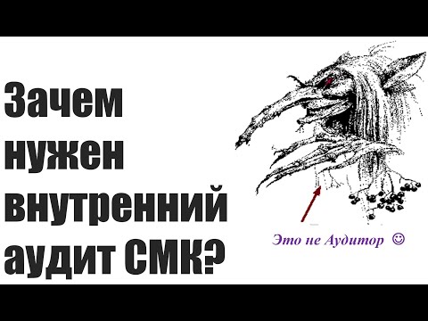 Видео: Зачем нужен Внутренний Аудит в СМК? Ответы на вопросы директора