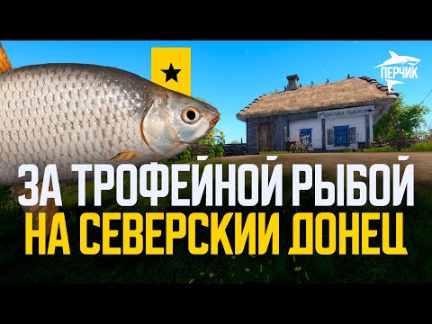 Видео: За трофеями на Северский Донец и не только ● Русская рыбалка 4 ● Перчик РР4