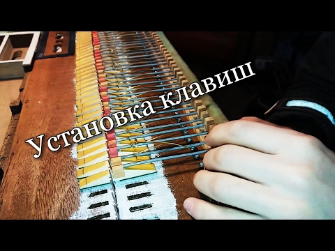 Видео: Тюнинг фисгармонии №1 - 6\10 (Чистка и установка клавиш)