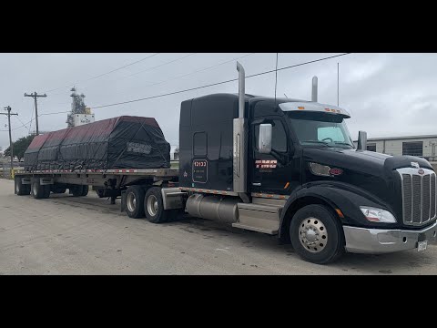 Видео: TMC Rookie отстаёт на месяц — опыт и время дома