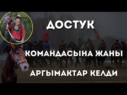 Видео: Достук командасынын аргымактары менен таанышуу