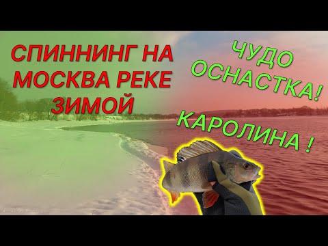 Видео: Каролинская оснастка творит чудеса! Рыбалка на Москва реке