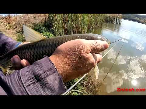 Видео: На язовир Братушково през есента