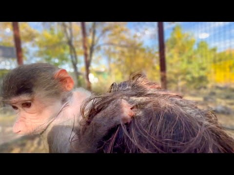 Видео: КОШМАР! Без Влада Люська просто чуть не сняла с меня скальп))))