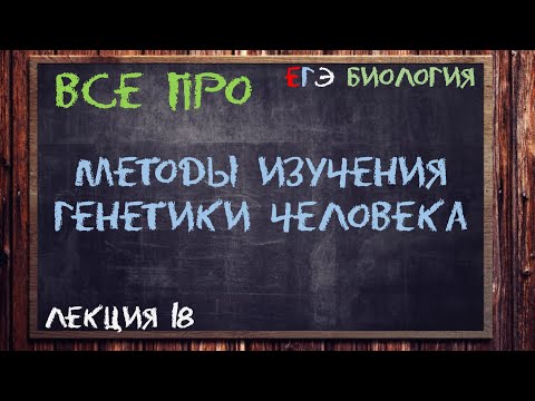 Видео: Л.18 | МЕТОДЫ ИЗУЧЕНИЯ ГЕНЕТИКИ ЧЕЛОВЕКА | ГЕНЕТИКА | ОБЩАЯ БИОЛОГИЯ ЕГЭ