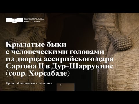 Видео: Крылатые быки с человеческими головами из дворца царя Саргона II. Проект «Цветаевская коллекция»