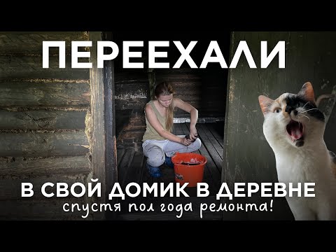 Видео: Работы непочатый край, без воды, без санузла…НО С КОШКОЙ и счастливые❤️