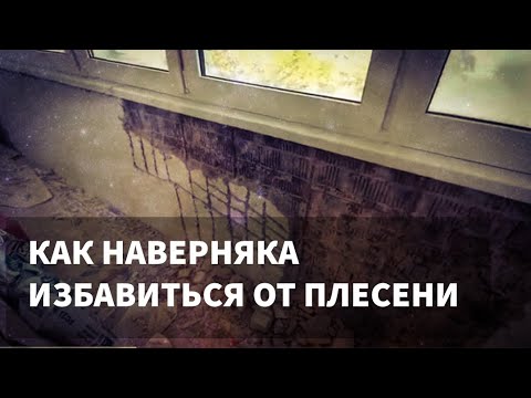 Видео: КАК ИЗБАВИТЬСЯ ОТ ПЛЕСЕНИ - НЕПРОСТОЙ МЕТОД !!!