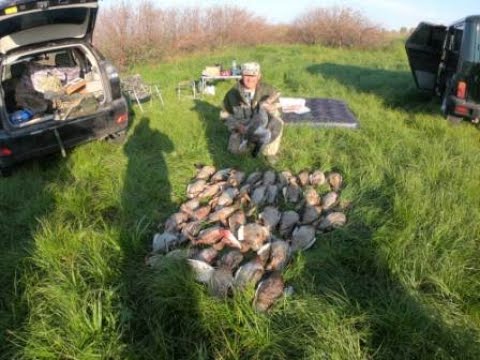 Видео: открытие охоты на утку в поле 04 09 21