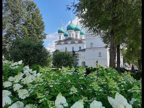 Видео: Цветочный рай