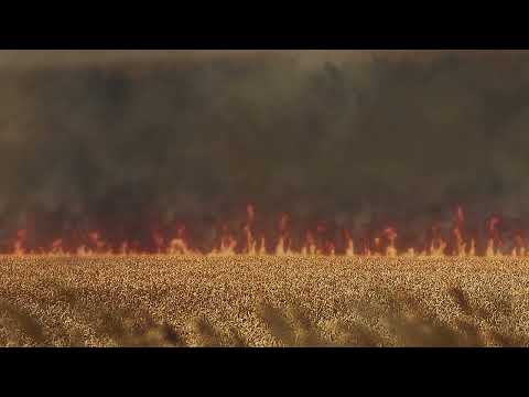 Видео: НЕРВЫ - Втомився (Original audio)