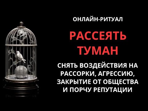 Видео: 🔥СНЯТИЕ РАССОРОК, АГРЕССИИ, ПОРЧ НА РЕПУТАЦИЮ l ОНЛАЙН-РИТУАЛ🔥