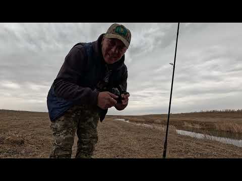 Видео: Спиннинг В Руки И За Окунем И Щукой!!!