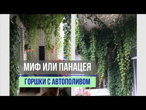 Видео: 5 МИНУСОВ ГОРШКОВ С АВТОПОЛИВОМ ДЛЯ КОМНАТНЫХ ЦВЕТОВ. А вы готовы к жаркому лету?