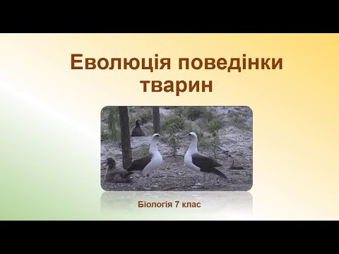 Видео: Біологія. Тварини. Еволюція поведінки тварин