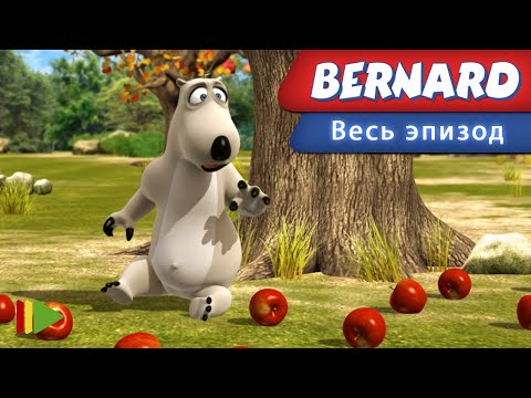 Видео: Бернард - 84 - Яблоня | Мультфильмы |