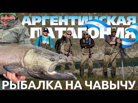 Видео: Новый рекорд Аргентины по количеству чавычи за день рыбалки!