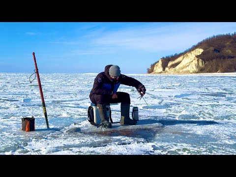 Видео: ПЛОТВА ПІШЛА!!!Кременчуцьке водосховище ВЖЕ ЛОВИТЬ!