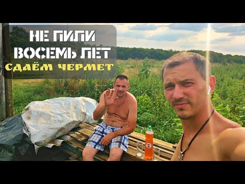 Видео: Восемь лет не пил I Сломали подвал I Сломалась стиральная машина I