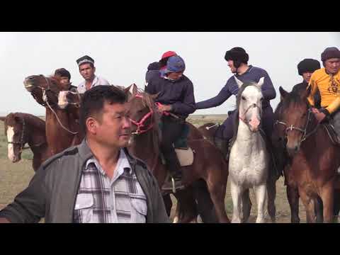Видео: Қыңыр ауылы 08 05 22 Көкпар